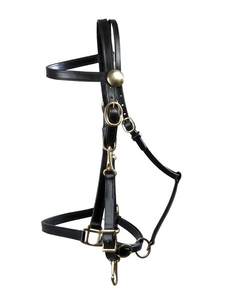 BRIGLIA/CAPEZZA CUOIO FIBBIERIA OTTONE* Trekking 